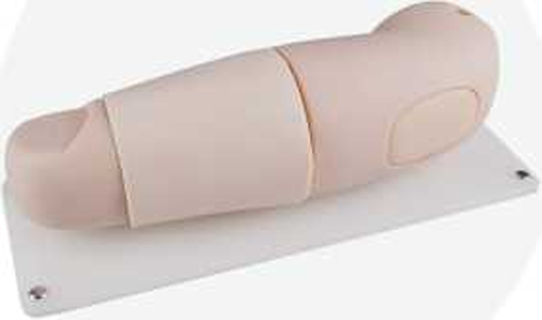 Subcutaneous Implantation Arm Model