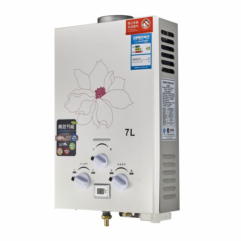 Gas Water Heater Stove-Piped Water Heater Liquefied Petroleum Gas (LPG) and Natural Gas Hot Water Dispenser Household