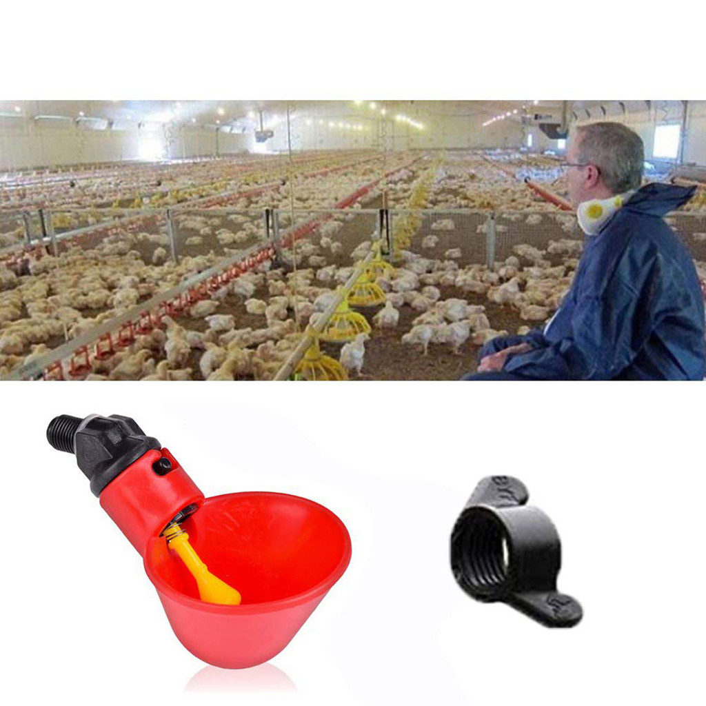 Drinker Cups Lawn Feed Automatic Bird Coop Poultry Chicken Fowl Drinker Water Livestock Drinking Cups 24Pcs Home Garden