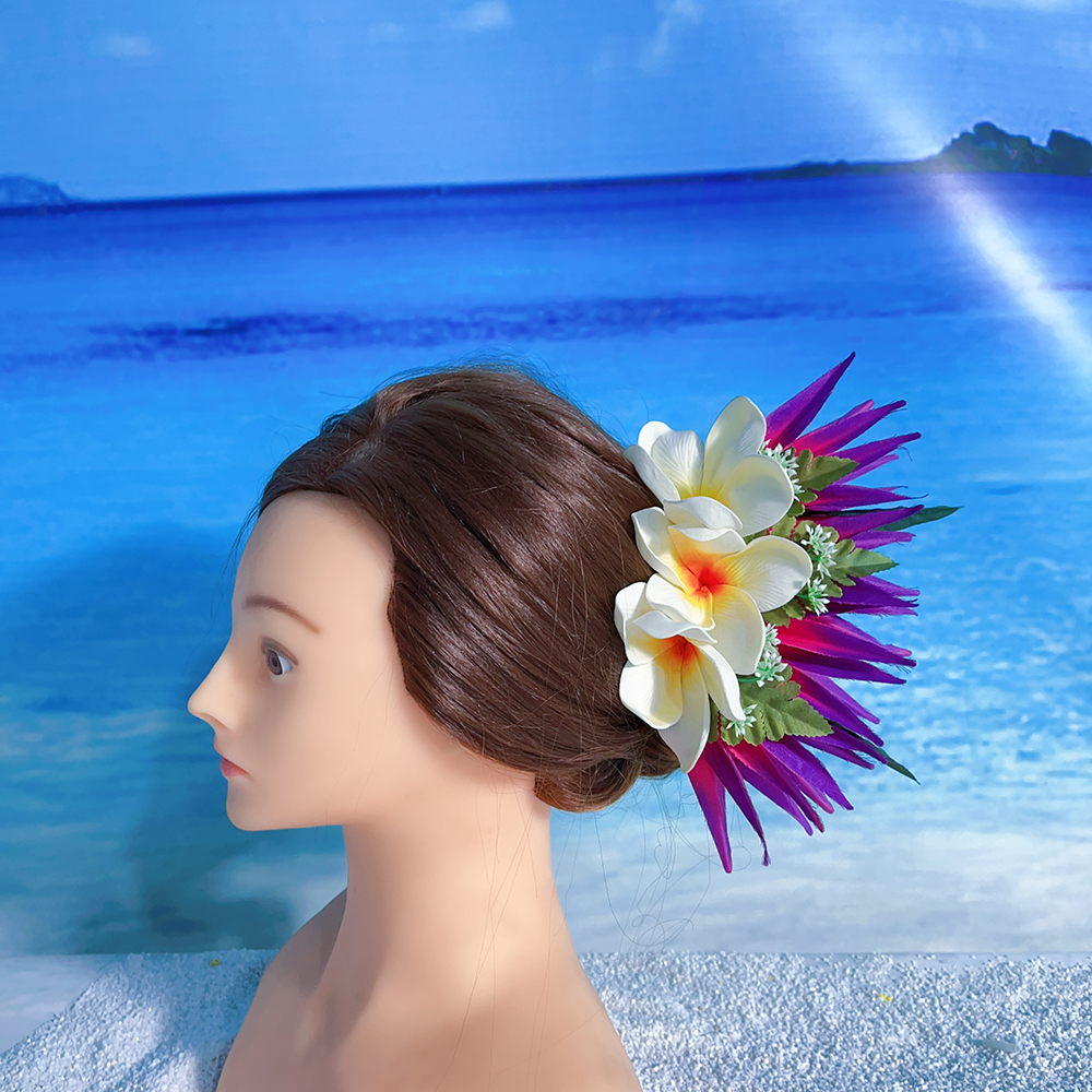Kn Hc004 67 Hair Clip