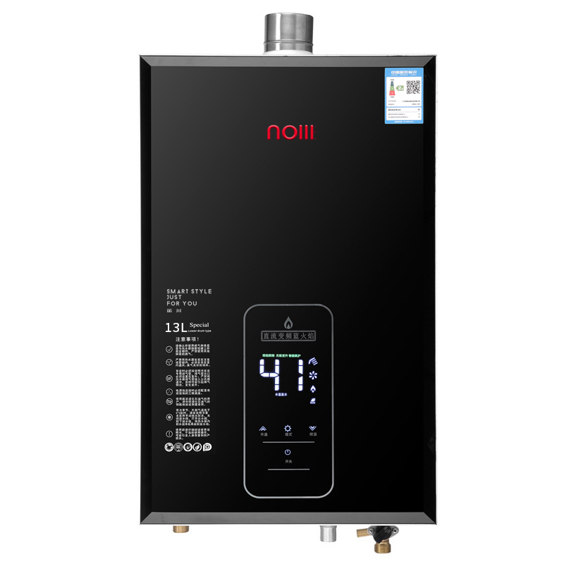 16L Large Intelligent Frequency Conversion Natural Gas Water Heater Constant Temperature Tankless Exhaust Type Natural Gas 12L