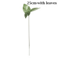 25cm-with leaves