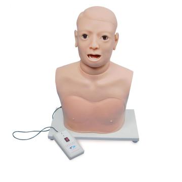 Pharynx and Larynx Examination Model (electronic monitoring)