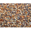 Free shipping Black , white . Red , yellow and green broomcorn millet mixed . 500g