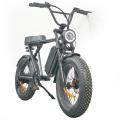 https://www.bossgoo.com/product-detail/electric-bicycle-fat-eu-warehouse-powerful-63354719.html