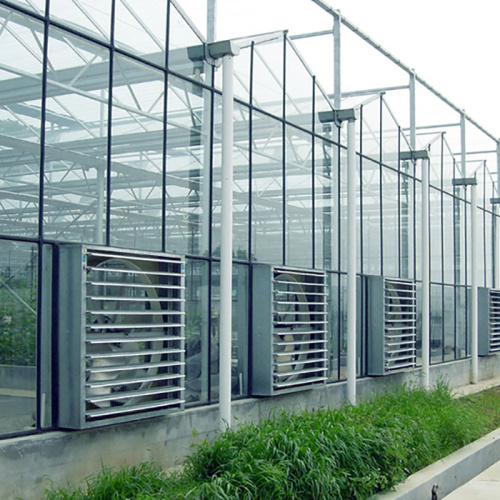 Skyplant Commercia Venlo Type Glass Greenhouse Manufacturers and Skyplant Commercia Venlo Type Glass Greenhouse Suppliers