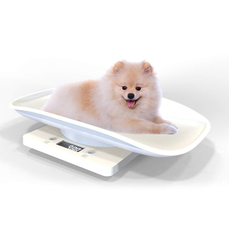 Plastic Electronic Digital Baby Pet Scale HD LCD Measure Tool Accurately 1g-10kg Electronic Weight Scale