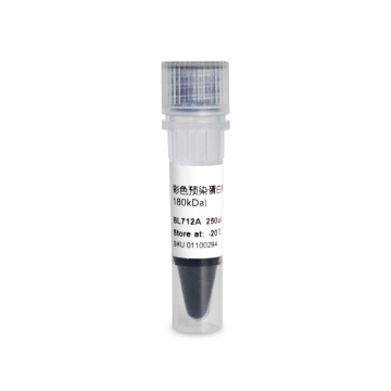 Colorful pre-stained protein marker (10-18 kDa)
