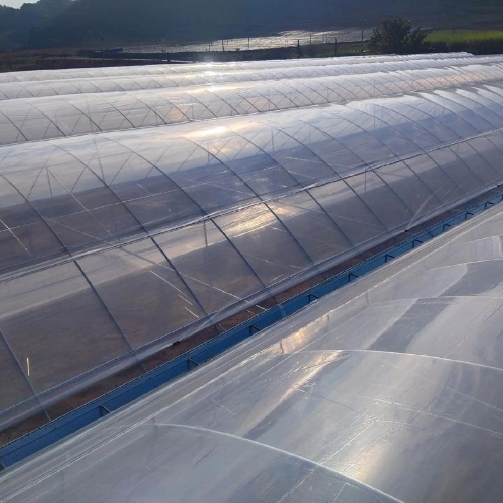 Single Greenhouse For Seedling Raising