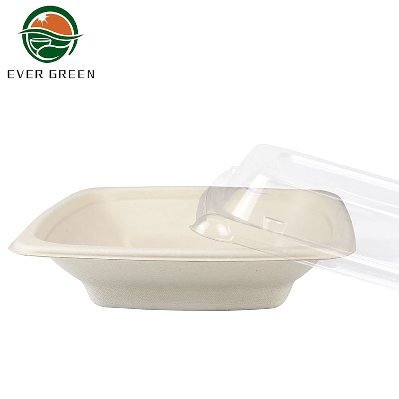  biodegradable plastic box