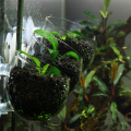 Aquarium decoration fish tank Mini Crystal Glass Pot Polka Water potted planting cylinder cup aquarium accessories