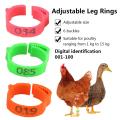 100PCS Chicken Leg Ring Adjustable Size Poultry Leg Buckle Digital Label For Chicken Duck Pigeon Poultry Farming Distinction