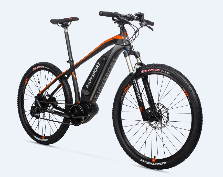 Raleigh Ebike