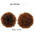 Q9-wigsize-1bT30