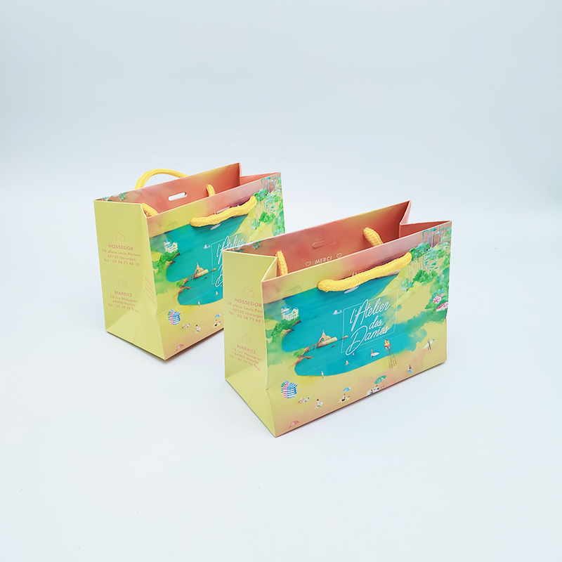 Small Paper Bag