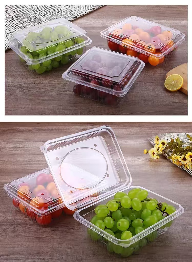 clamshell packaging 7