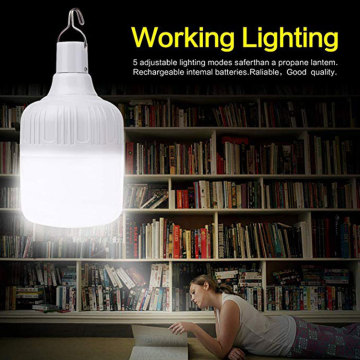 LED Hanging Night Light Portable 20W 40W 10leds LED Bulb Rechargeable Emergency Lights outdoor Garden Camping LED Light