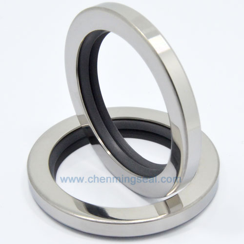 40*62*10 mm Dual PTFE Oil Seals Stainless Steel Housing Rotary Shaft Oil Seals For Compressors Pumps Mixers Actuators