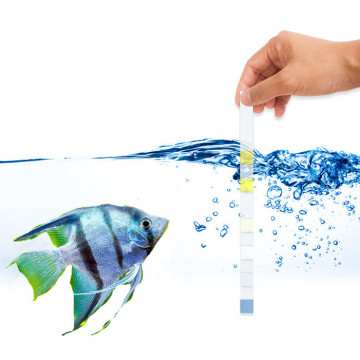 Freshwater master test kit fishcare