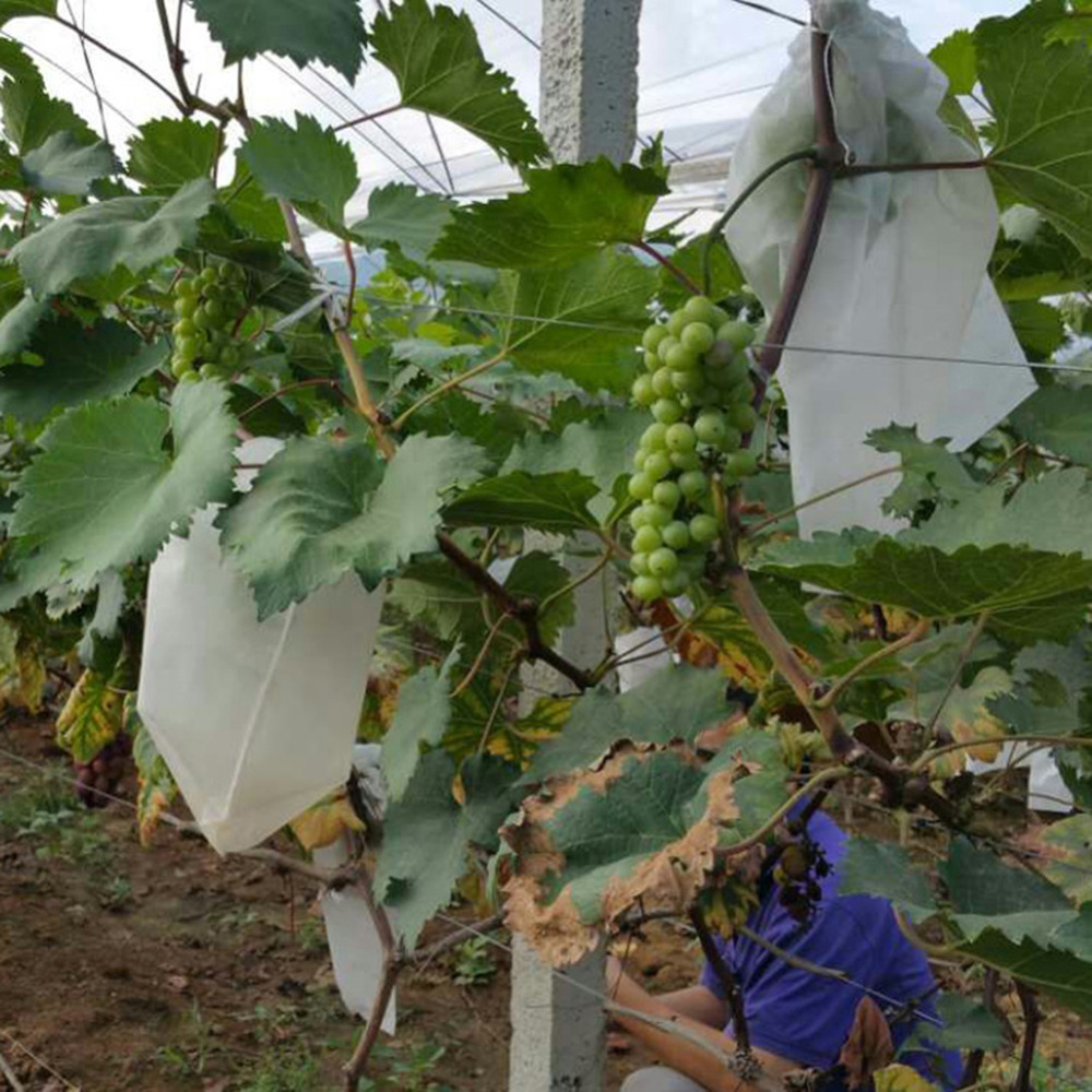 50pcs Grape Protection Bags For Fruit Vegetable Grapes Mesh Bag Against Insect Pouch Agricultural Pest Control Anti-Bird Bags