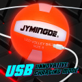 Custom USB rechargeable illuminated light up led glow in the dark pool volleyball