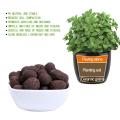 Expanded Clay Grow Media Pottery Carbon Ball 100g Hydroponics Soilless Planting Garden Suppliers Nutrient Soil