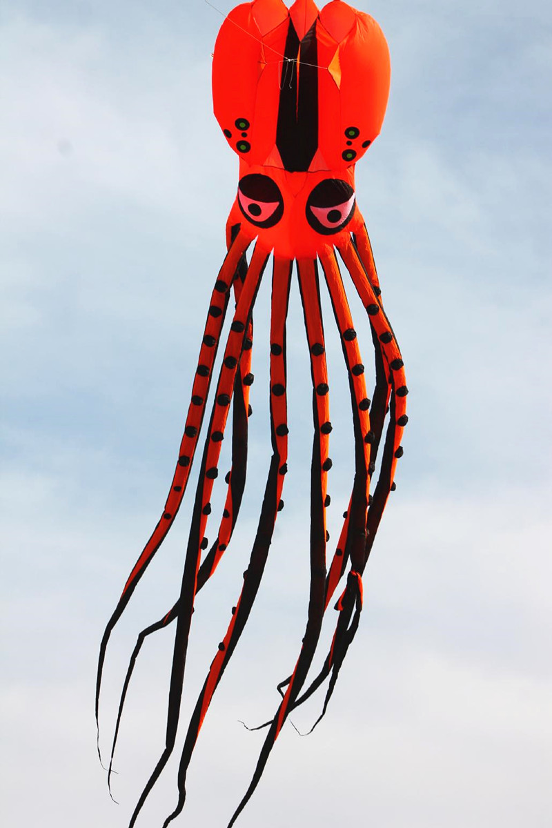 free shipping high quality 20m octopus kite pendant large soft kite ripstop nylon fabric kite line ma laosi walk in sky