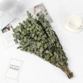 Real Dried Eucalyptus Branches Preserved Fresh Flower Bouquet Nature Green Plant Leaves For Garden Home Wedding Decoration