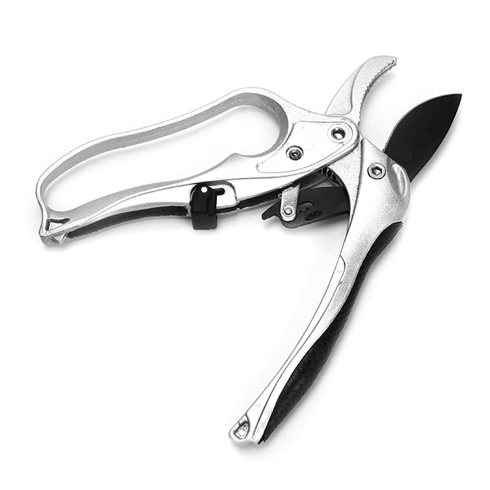 Ratchet Plant trim horticulture Hand Shear Orchard pruning pruner cut Shrub Garden Tree Flower Scissor tool