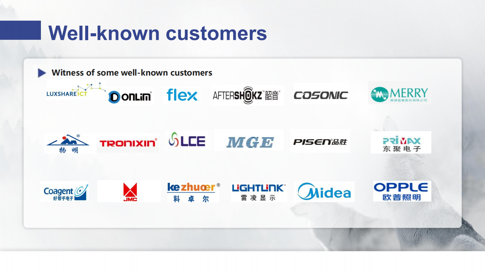 Company Presentation_10