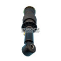 Spare Parts for Volvo Trucks VOE 22144209 Cab Suspension Rear Shock Absorber