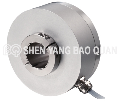 EA1B1024M2X1.X