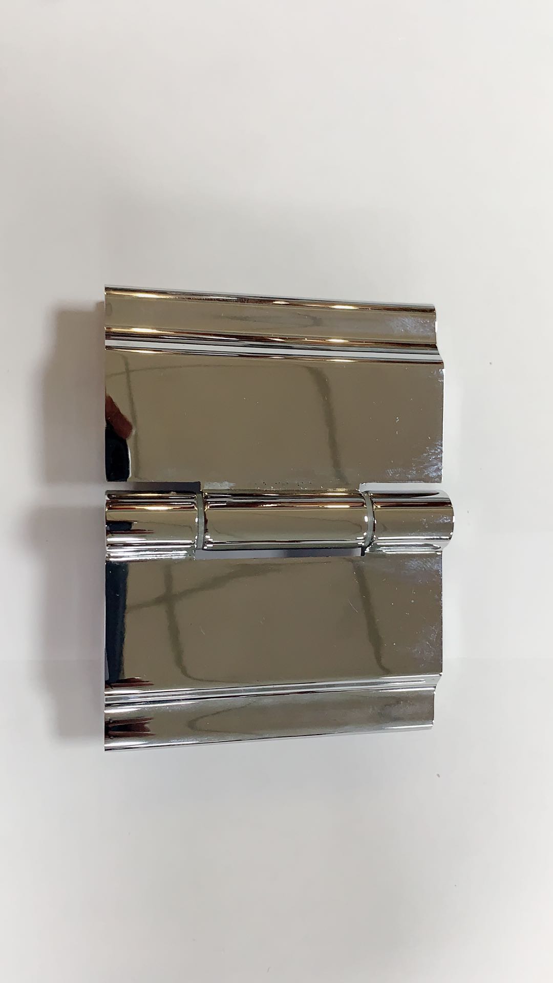 SHOWER HINGE