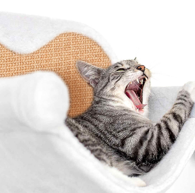 Hanging Bed Png