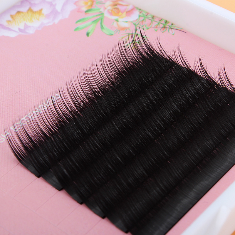 2020 Camellia Individual Eyelashes Volume Hybrid Fanning False Fashes Extension for professional Handmade Natural Soft