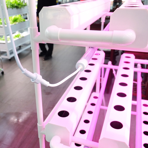 NFT Hydroponic System for home with led Manufacturers and NFT Hydroponic System for home with led Suppliers