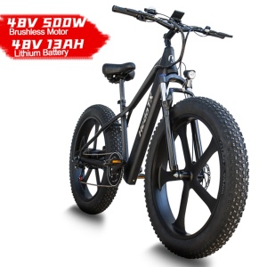 Electric Fat Tire Bike