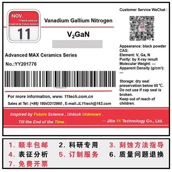 V2GaN