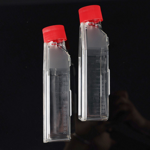 Best Cell Culture Flask, T-25, T-75, T-175 Manufacturer Cell Culture Flask, T-25, T-75, T-175 from China