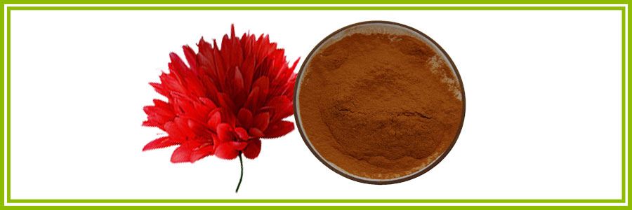 Rhodiola Rosea Extract 3