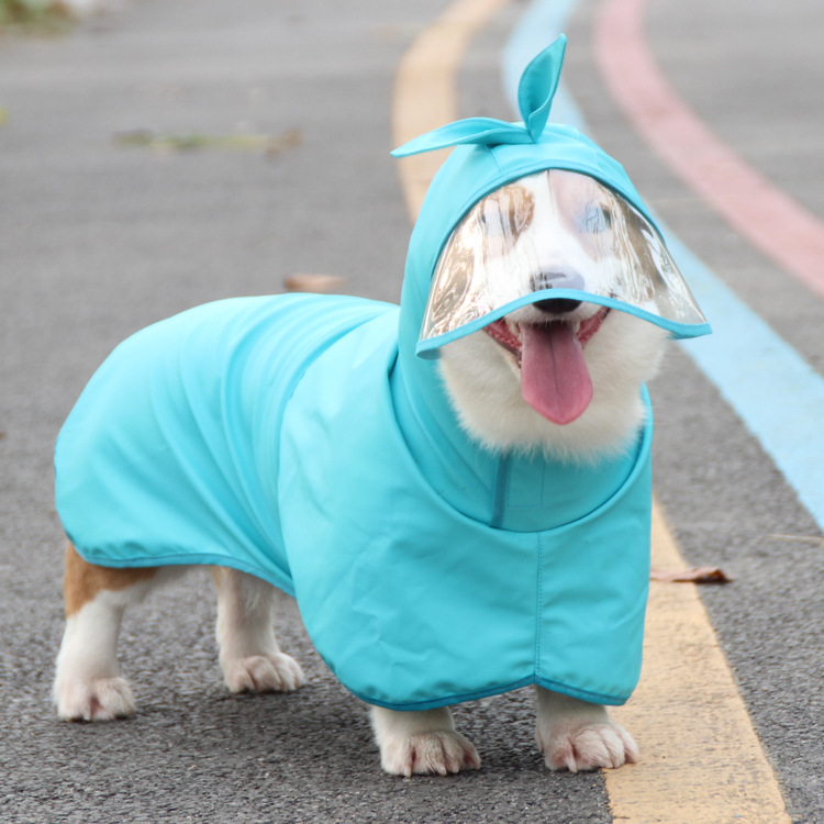 Small Dog Raincoat