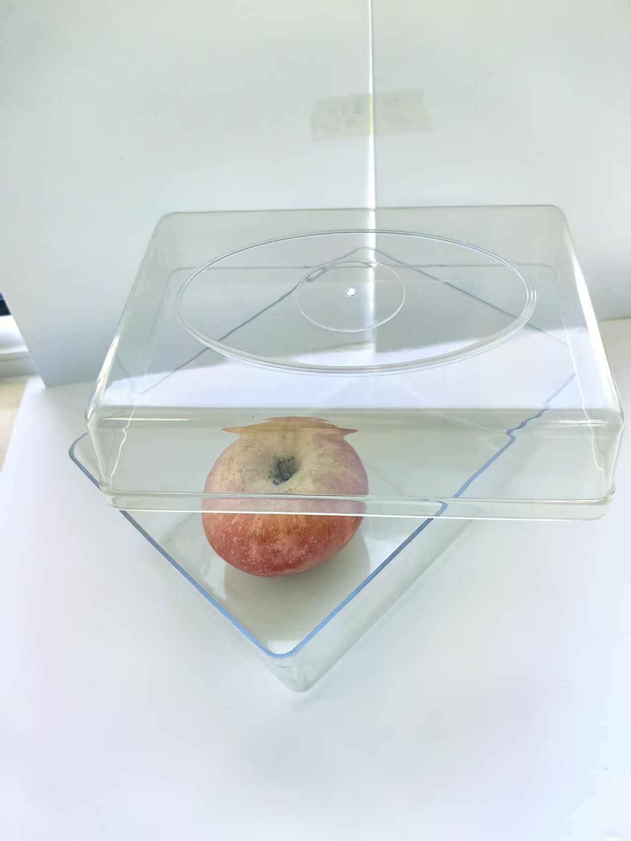 Seed germination box Injection molding (16)