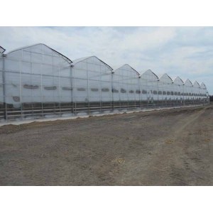 Ventilation Resistant To Snow Industrial greenhouse farming