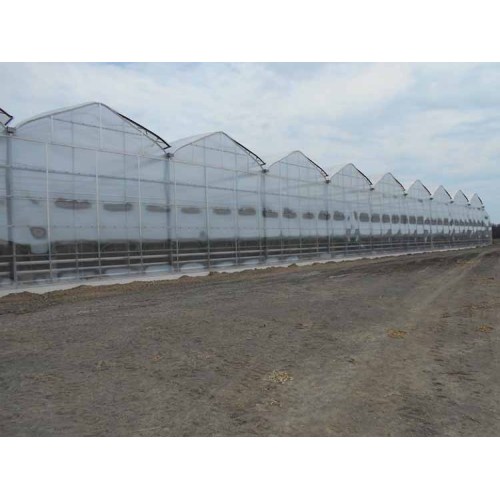 Saw tooth roof vent multi span plastic greenhouse Manufacturers and Saw tooth roof vent multi span plastic greenhouse Suppliers