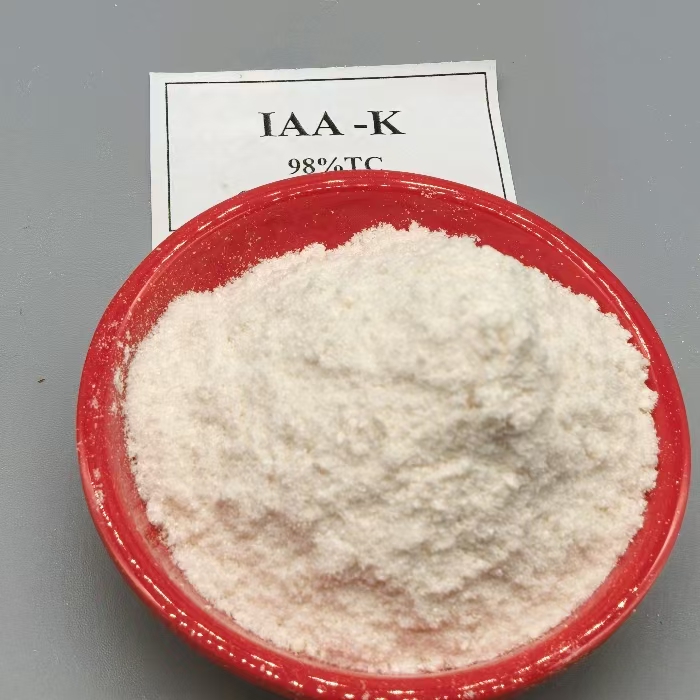 auxin IAA Indole-3-acetic acid Potassium salt  IAA-K   (26)