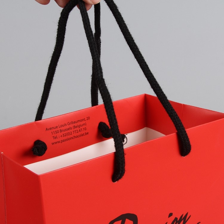 Gift Paper Bag