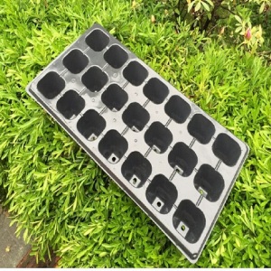 21 Holes PP Rice Seedling Tray