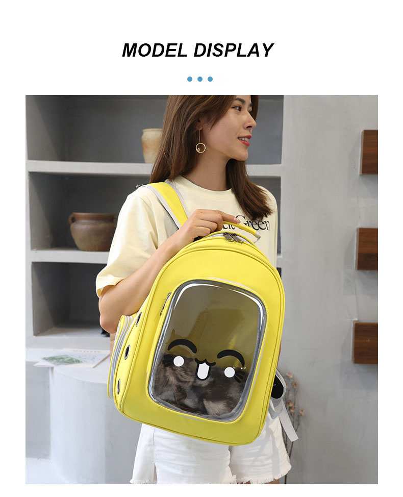 Pet Travel Carrier