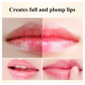 Transparent hyaluronic acid lip balm moisturizes to reduce fine lines, soothes dryness and protects lips TSLM1