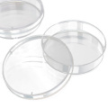 SOSW-10Pcs Sterile Petri Dishes w/Lids for Lab Plate Bacterial Yeast 55mm x 15mm